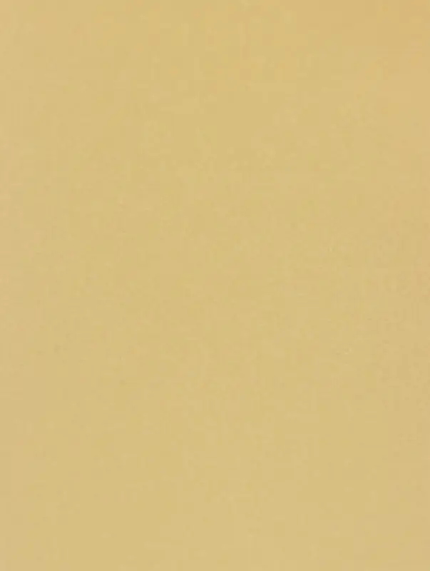 Пленка для цветов, &laquo;Золотая сторона&raquo;, винная, 57&times;57 см &plusmn;5% см