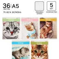Тетради 5 штук 36 листов в клетку &laquo;Кошки&raquo;, обложка мелованная бумага, блок №2, белизна 75%, (4 разные, 1 повторяющаяся)