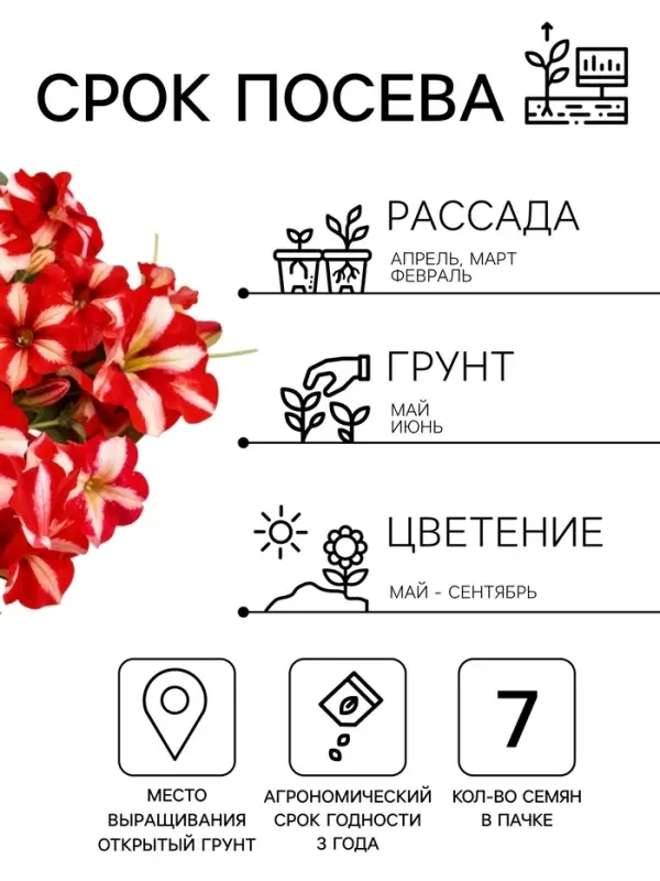 Семена цветов Петуния ампельная &laquo;Красная с белым&raquo; гранулы, 7 шт.