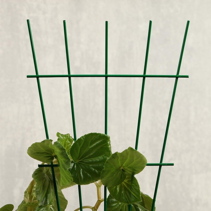 Шпалера, 40 × 20 × 0.3 см, металл, зелёная, «Веерная» Шпалера, 40 × 20 × 0.3 см, металл, зелёная, «Веерная»