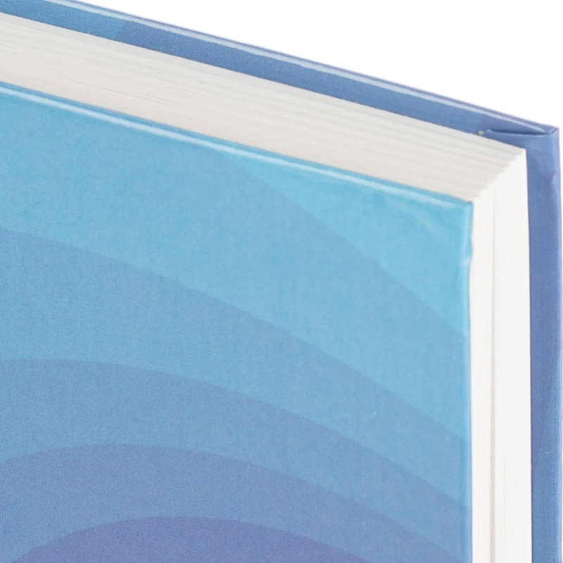 Ежедневник датированный 2026 Выбор есть, А5, 160л, 7БЦ, Isoline