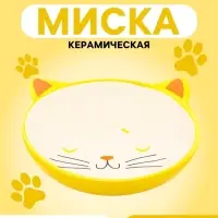 Миска &laquo;Кошачья мордочка&raquo;, 200 мл, 16&times;4&times;6.5 см, керамика, желтая, белая
