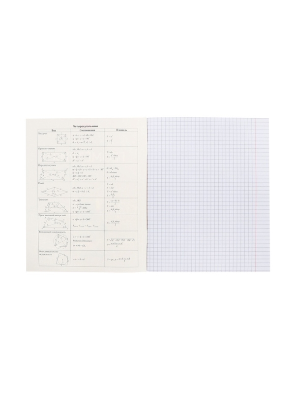 Тетрадь 48 листов в клетку &laquo;Мой любимый предмет&raquo; ГЕОМЕТРИЯ, обложка мелованный картон, Soft-touch, с интерактивным справочником, блок офсет