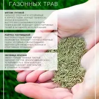 Газонная травосмесь &laquo;Низкорослая&raquo;, 1 кг
