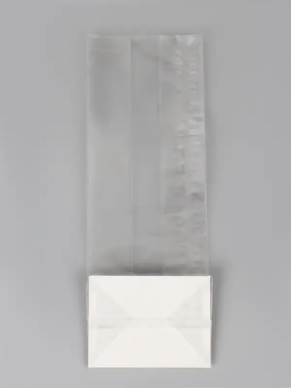 Пакет с жестким дном, прозрачный, 6&times;8&times;23 см