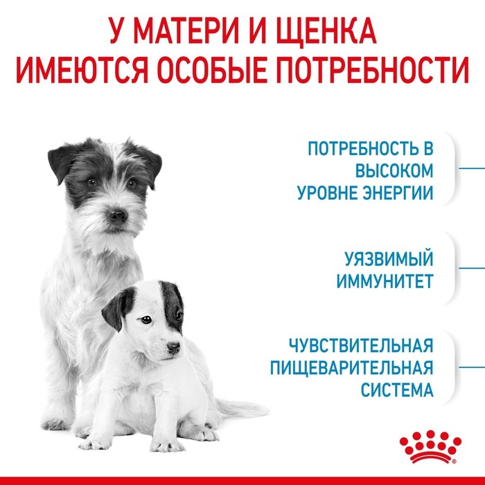 Сухой корм RC Mini Starter Mother & Babydog для щенков, 1 кг Сухой корм RC Mini Starter Mother & Babydog для щенков, 1 кг