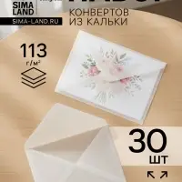 Набор конвертов С6, 115&times;165 см, 30 штук, калька, без подсказа, без окна, без клея, 113 г/м&sup2;, прозрачные