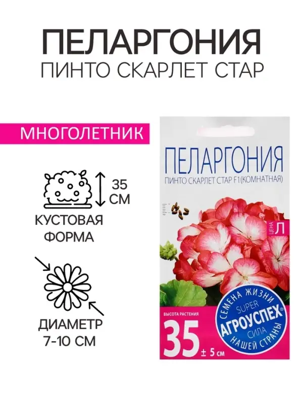 Семена цветов Пеларгония &laquo;Пинто Скарлет Стар&raquo;, F1, 4 шт., &laquo;Агроуспех&raquo;