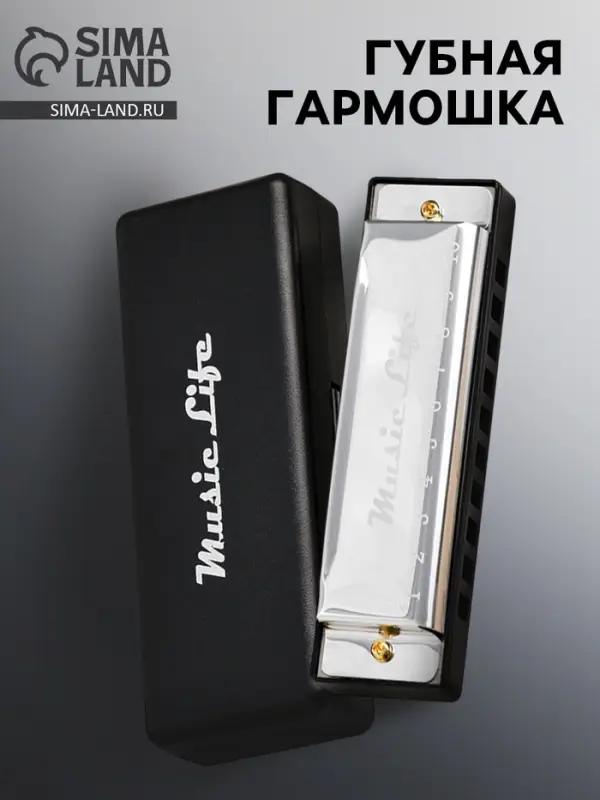 Губная гармошка Music Life, диатоническая, C-major, с футляром, серебристая