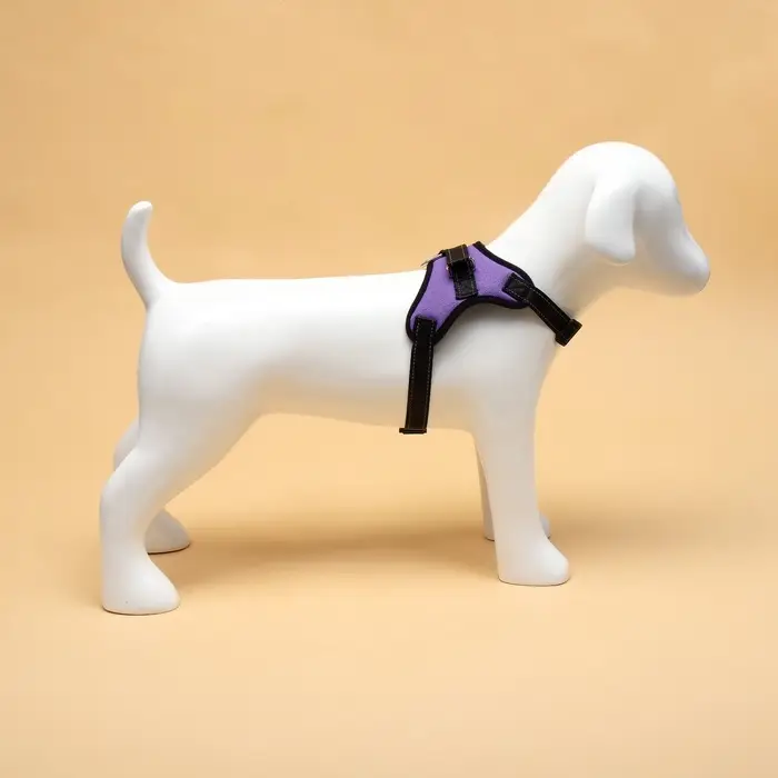 Шлейка К7, размер S, ОГ 44-55 см, вес 5-9 кг, мягкая, светоотражающая, фиолетовая