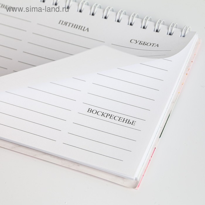 Планинг прямоугольный тонкий картон «Учителю: С днём учителя», 50 листов Планинг прямоугольный тонкий картон «Учителю: С днём учителя», 50 листов