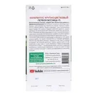 Семена Цветов Катарантус крупноцветковый "Первоклассница F1", 5 шт.