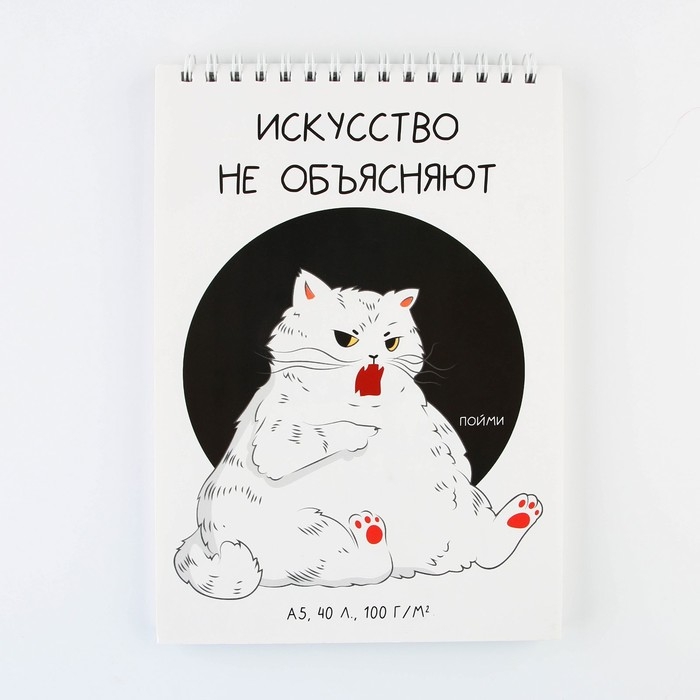 Скетчбук А5, 40 л 100 г/м2  Скетчбук А5, 40 л 100 г/м2 "Кот"