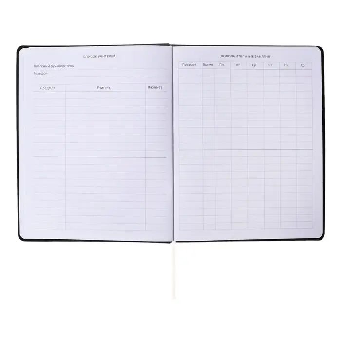 Дневник универсальный для 1-11 класса "Гениально", интегральная обложка, искусственная кожа, шелкография, ляссе, 80 г/м2