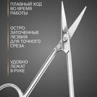 Ножницы маникюрные &laquo;Премиум&raquo;, загнутые, узкие, 10.5 см, на блистере