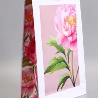 Пакет подарочный ламинированный &laquo;Искусство природы&raquo;, 33&times;42.5&times;10 см