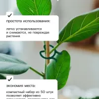 Набор креплений для растений, набор 50 шт., Greengo