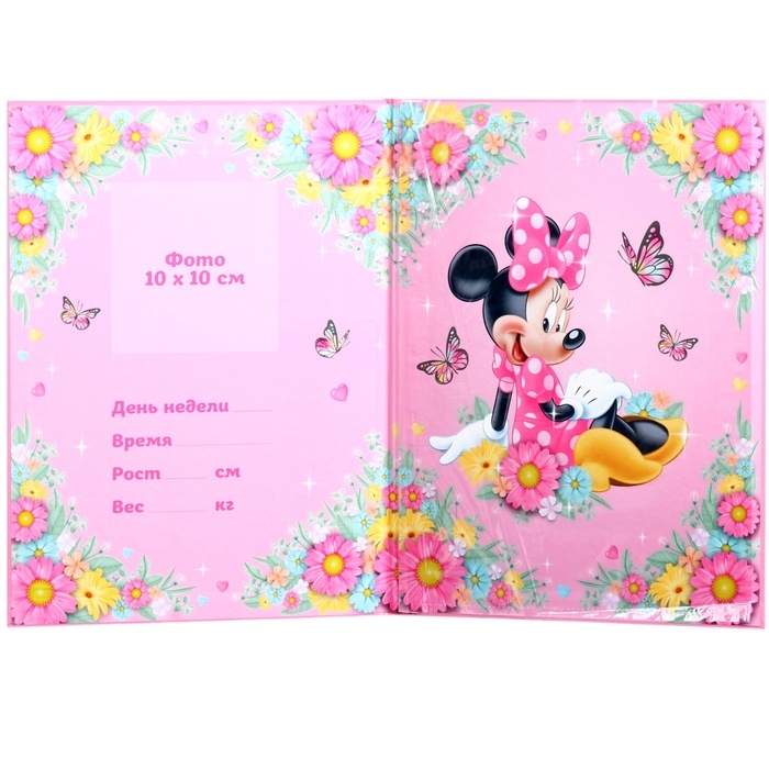 Папка для свидетельства о рождении, 1 файл 21х30 см, Минни Маус Папка для свидетельства о рождении, 1 файл 21х30 см, Минни Маус