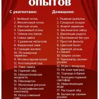 Набор для опытов &laquo;Большой новогодний подарок&raquo;, 40 опытов