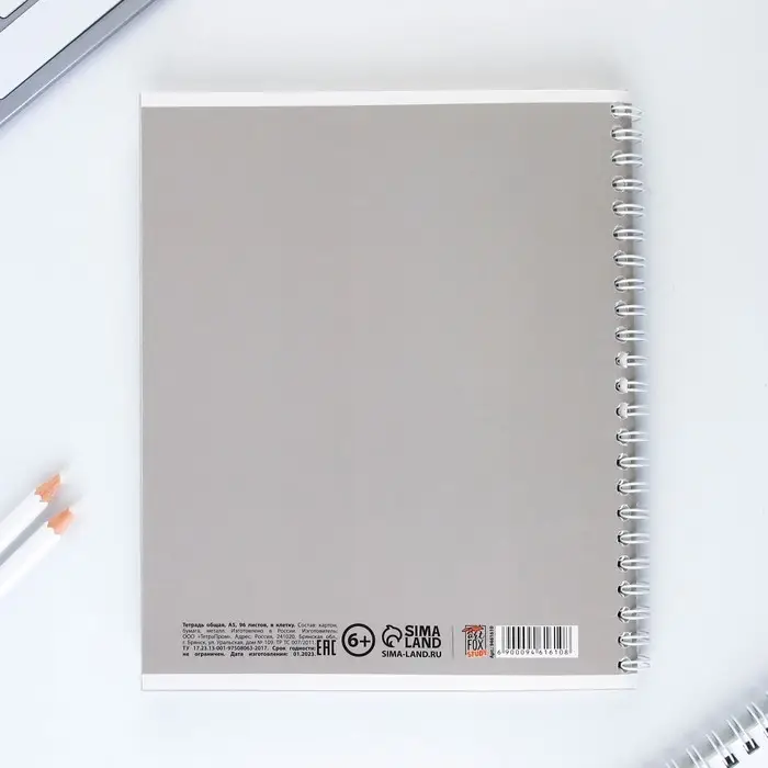 Тетрадь в клетку, 96 л., А5, на спирали, блок №2, Time to trevel