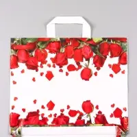 Пакет &laquo;Гран При&raquo;, полиэтиленовый с петлевой ручкой, 38&times;34 + 3 см, 70 мкм