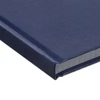 Книга учета А4, 128 листов, клетка, 200&times;290 мм, бумвинил, синий, блок офсетный