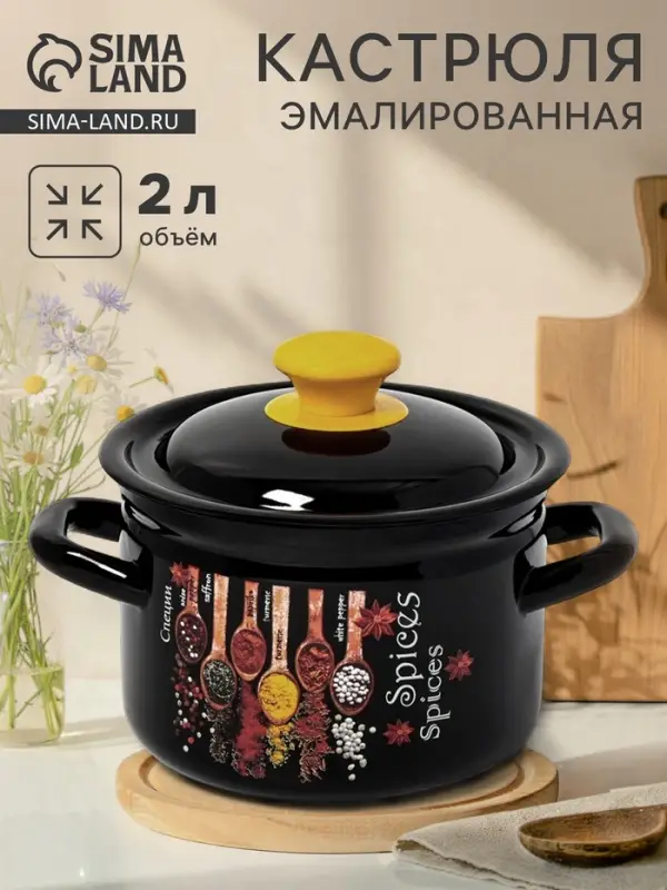 Кастрюля эмалированная &laquo;Карри&raquo;, 2 л, d=17 см, с крышкой, чёрная