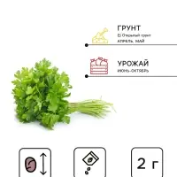Семена Петрушка &laquo;Обыкновенная Листовая&raquo; 2 г