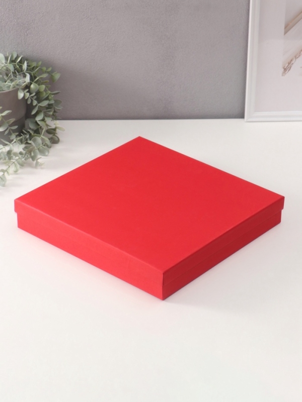 Фотоальбом на 500 фото 10х15 см Фотоальбом на 500 фото 10х15 см "Греческий узор" кожзам, красный, в коробке 5,5х32,5х34 см 1074684