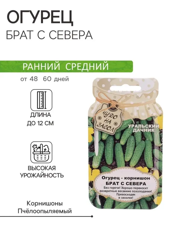 Семена огурца  Семена огурца "Брат с Севера", 10 шт.
