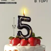 Свеча в торт &laquo;Черный мрамор&raquo;, цифра 5, 5.5 см