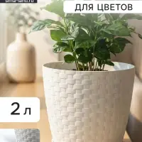 Горшок для цветов с поддоном &laquo;Ротанг&raquo;, 2 л, d=15 см, h=14 см, пластиковый, белый