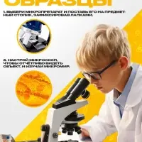 Набор для опытов &laquo;Набор микропрепаратов&raquo;, фрукты и ягоды