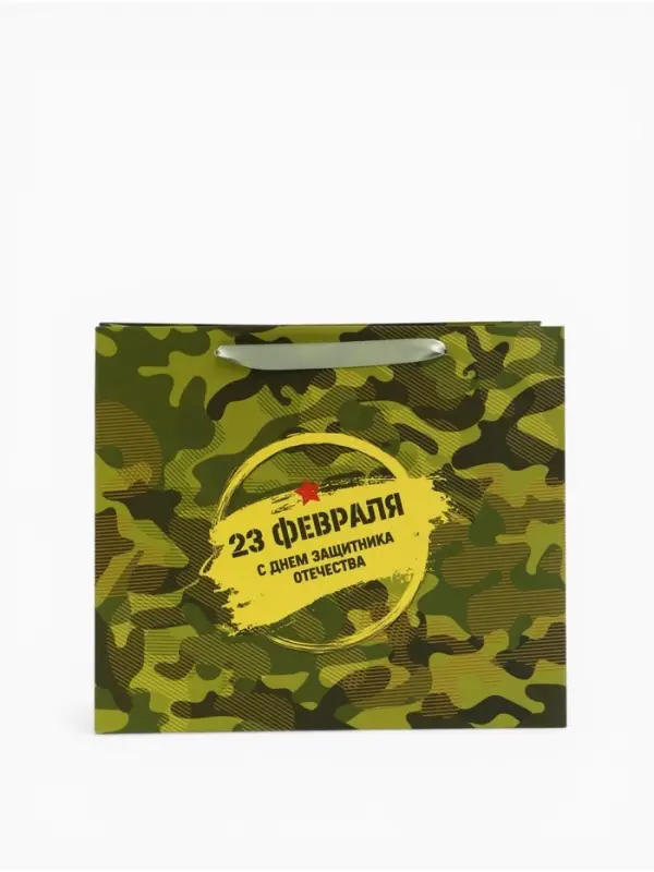 Пакет подарочный вертикальный &laquo;23 февраля&raquo;, ML 23&times;27&times;11.5 см
