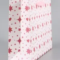 Пакет подарочный ламинированный &laquo;Подарок&raquo;, 22.3&times;9&times;35 см