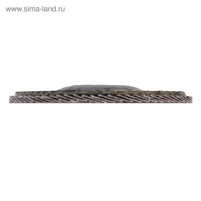 Круг лепестковый торцевой ЛОМ, 125&times;22 мм, Р40