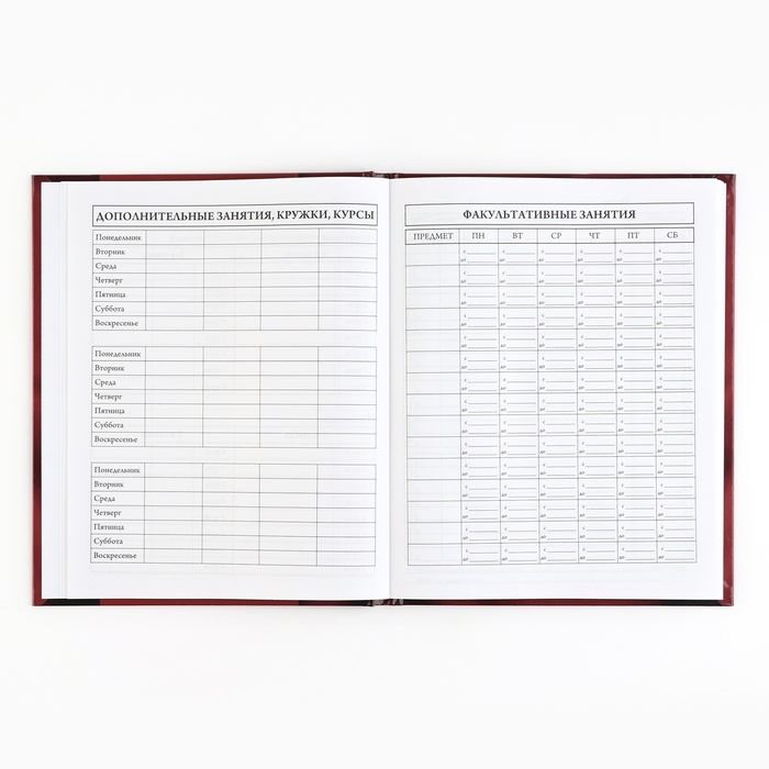 Дневник школьный 5-11 класс, в твердой обложке, 48 л. «Патриотический» Дневник школьный 5-11 класс, в твердой обложке, 48 л. «Патриотический»