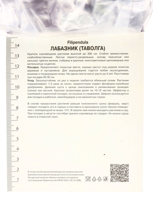 Лабазник вязолистный Вариегата, р-р I, 1 шт, Весна 2025