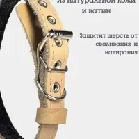 Ошейник, 35&times;1.5 см, подклад из ватина, кожа, бежевый