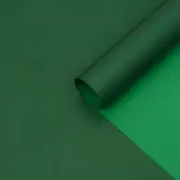 Пленка двухсторонняя для цветов и декора, 0.57&times;0.57 см, зелёный