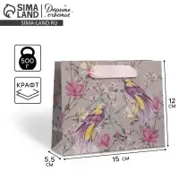 Пакет подарочный крафтовый, упаковка, «Птицы», S 15 х 12 х 5.5 см