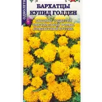 Семена Бархатцы Купид Голден /Сотка/ 0,1г/ прям. 35см, d-10см/*1500 Семена Бархатцы Купид Голден /Сотка/ 0,1г/ прям. 35см, d-10см/*1500
