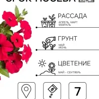 Семена цветов Петуния &laquo;Городские гиганты пурпурная мантия&raquo; F1, 7 шт., &laquo;АЭЛИТА&raquo;