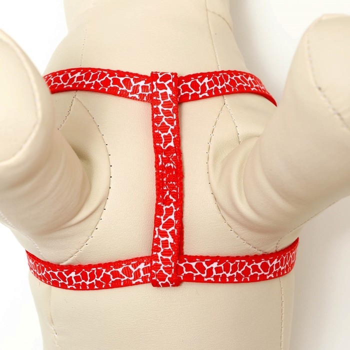 Комплект прошитый Комплект прошитый "Жираф", ширина 1 см, поводок 120 см, шлейка 23-35 см, красный