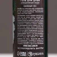 Гель для душа мужской &laquo;С Новым Годом!&raquo;, 100 мл, аромат хвойного леса, Чистое счастье