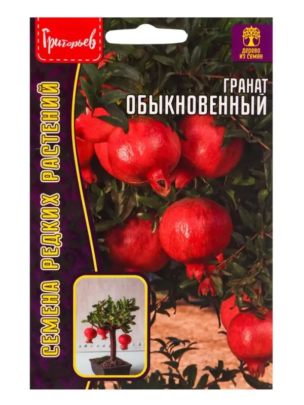 Семена цветов Гранат Обыкновенный  10шт.  12.29 г.