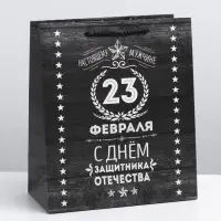 Пакет подарочный ламинированный, упаковка, &laquo;С 23 февраля&raquo;, ML 23&times;27&times;11.5 см
