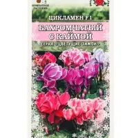 Семена Ком: Цикламен Бахромчатый с каймой /Сотка/ 3 шт/ h-30см d-5см/*1500 Семена Ком: Цикламен Бахромчатый с каймой /Сотка/ 3 шт/ h-30см d-5см/*1500