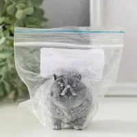 Сувенир "Кот толстый стоит" 5,5 см Сувенир "Кот толстый стоит" 5,5 см