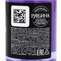 Гель для душа &laquo;Для смывания грехов&raquo;, 100 мл, аромат ежевики, Beauty Fox